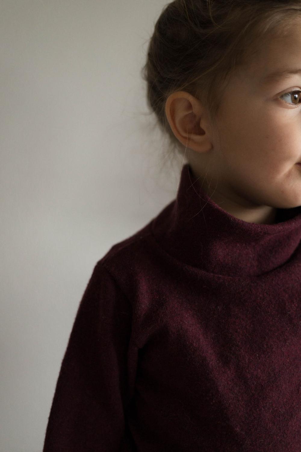 Langarmshirt mit Rollkragen